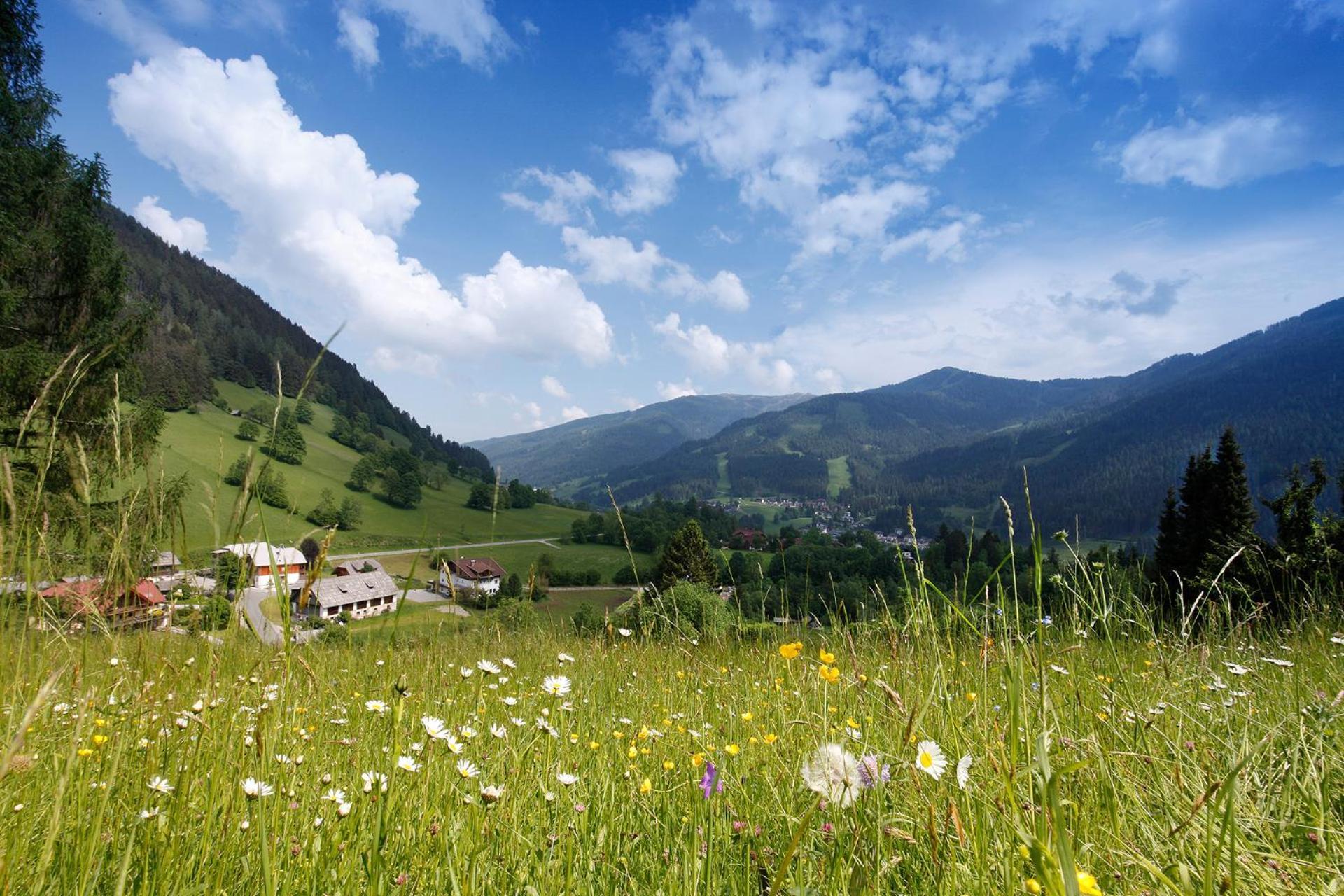 Pension & Appartements Ronacherhof Bad Kleinkirchheim Bagian luar foto