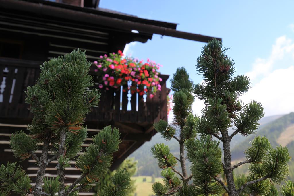 Pension & Appartements Ronacherhof Bad Kleinkirchheim Bagian luar foto